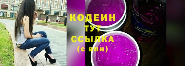 молекула духа Семилуки