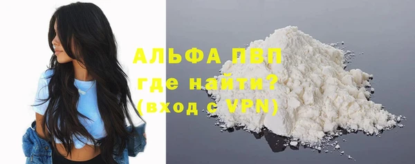 СК Богородицк