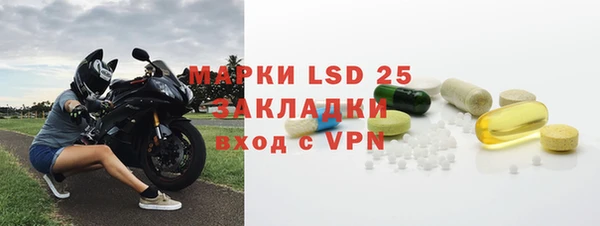 шишки Белоозёрский