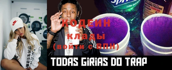 шишки Белоозёрский