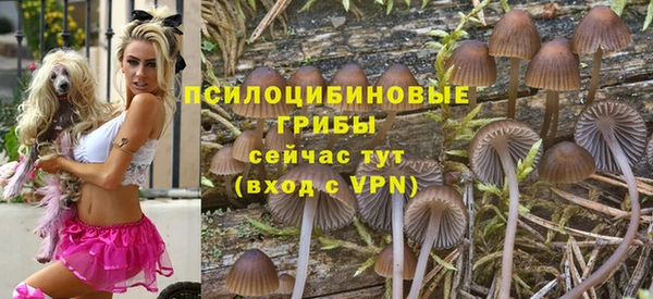 первитин Семикаракорск