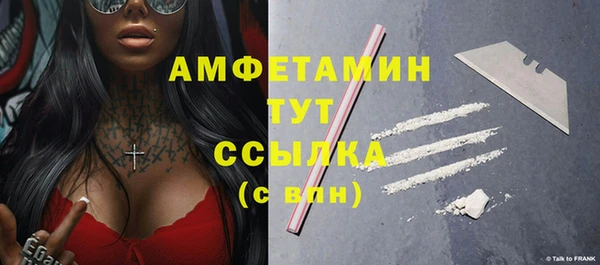 шишки Белоозёрский