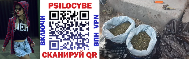 Галлюциногенные грибы мухоморы наркотики Обь